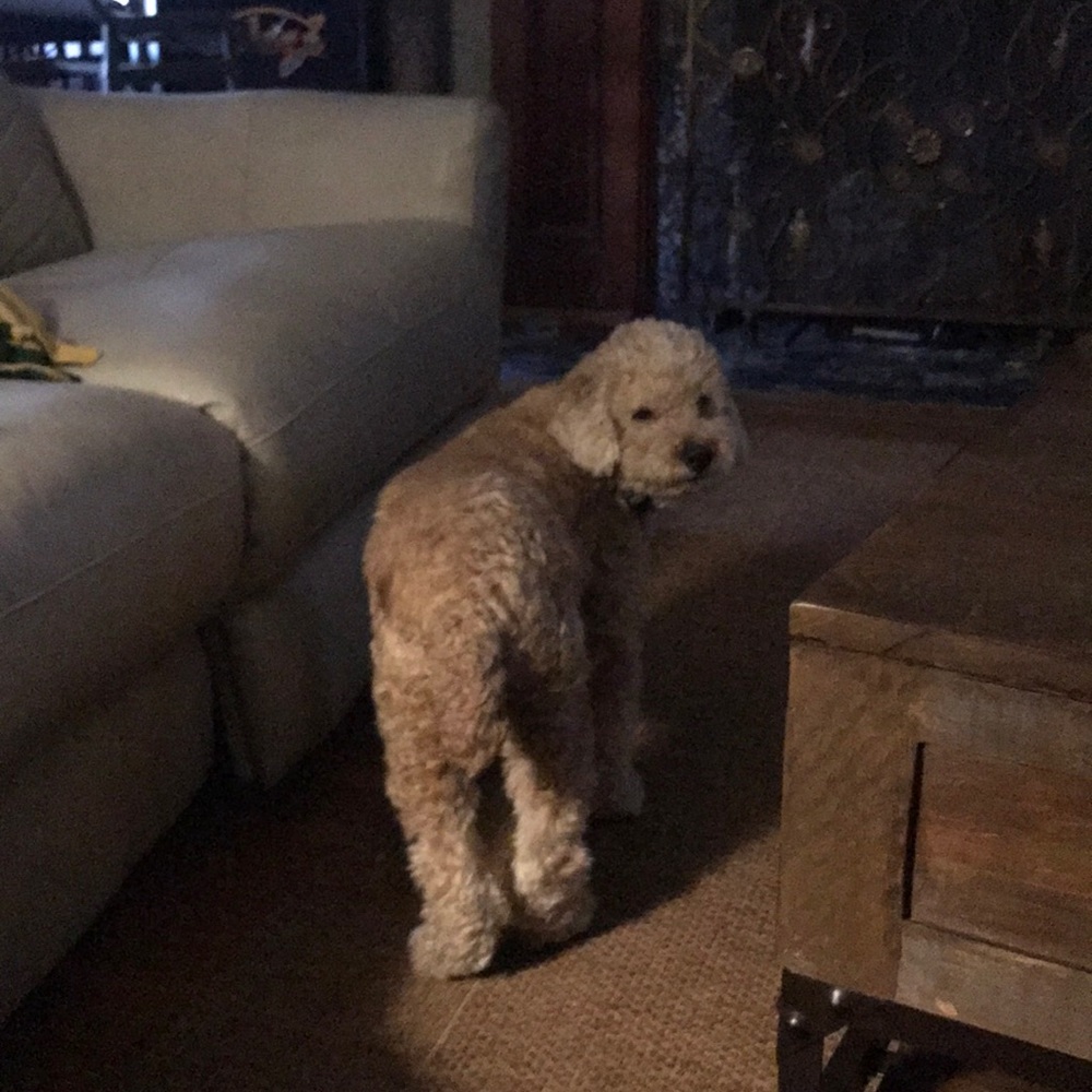 Meet your Posher, Sandra